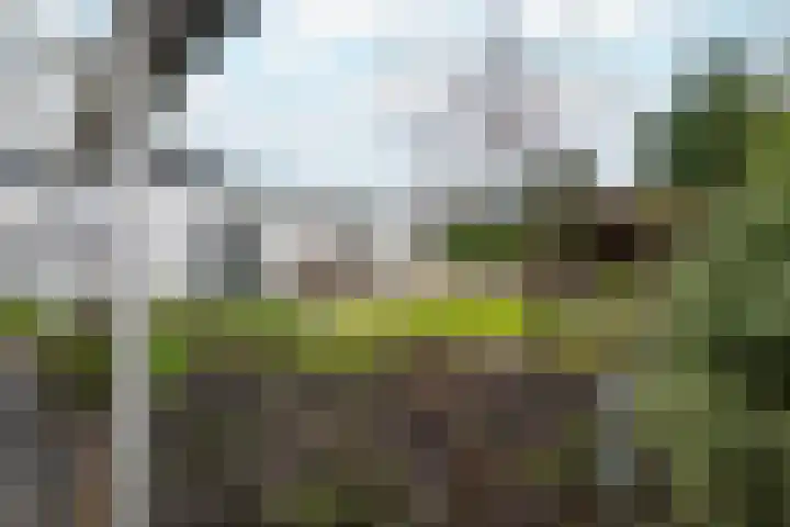 Burgemeester Bouwensweg 21 Horssen thumbnail 48