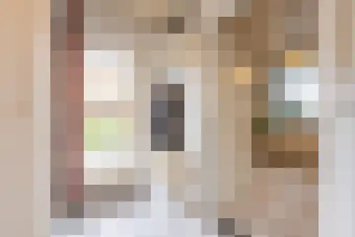 Burgemeester Bouwensweg 21 Horssen thumbnail 5
