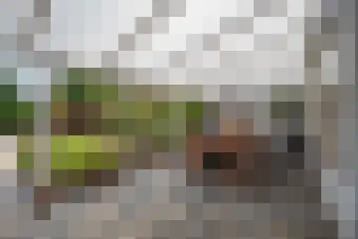 Burgemeester Bouwensweg 21 Horssen thumbnail 53
