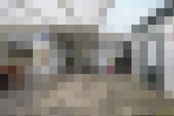Burgemeester Bouwensweg 21 Horssen thumbnail 54