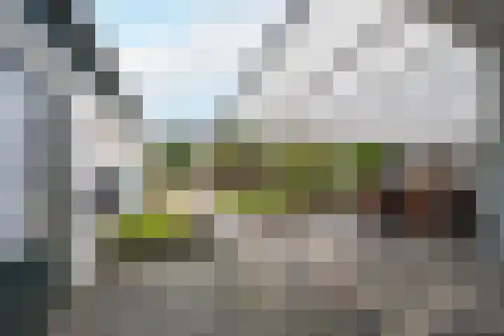 Burgemeester Bouwensweg 21 Horssen thumbnail 55