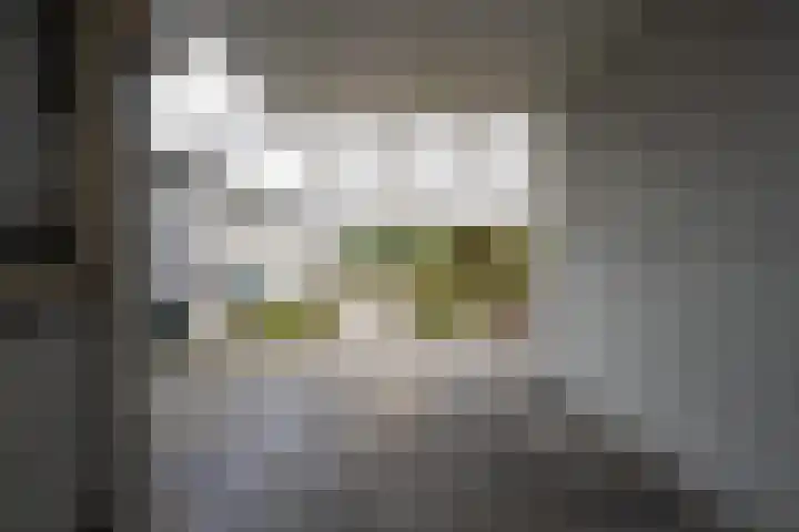 Burgemeester Bouwensweg 21 Horssen thumbnail 58