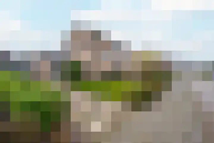 Burgemeester Bouwensweg 21 Horssen thumbnail 60