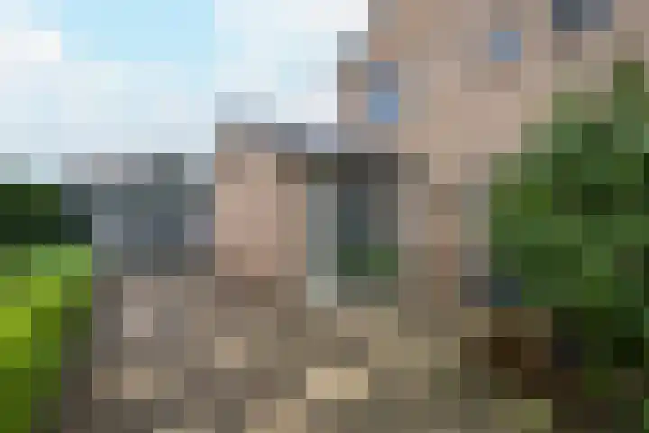 Burgemeester Bouwensweg 21 Horssen thumbnail 63