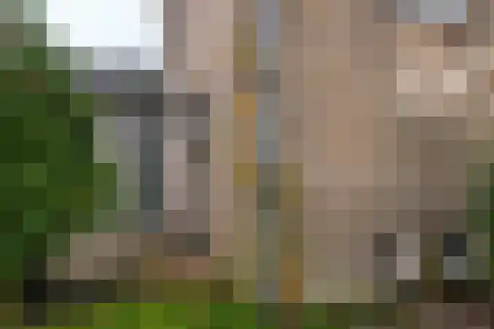 Burgemeester Bouwensweg 21 Horssen thumbnail 66