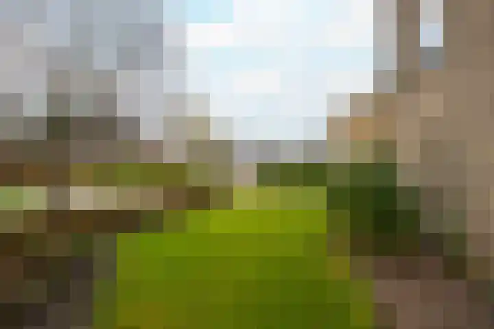 Burgemeester Bouwensweg 21 Horssen thumbnail 68