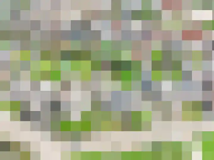 Burgemeester Bouwensweg 21 Horssen thumbnail 69