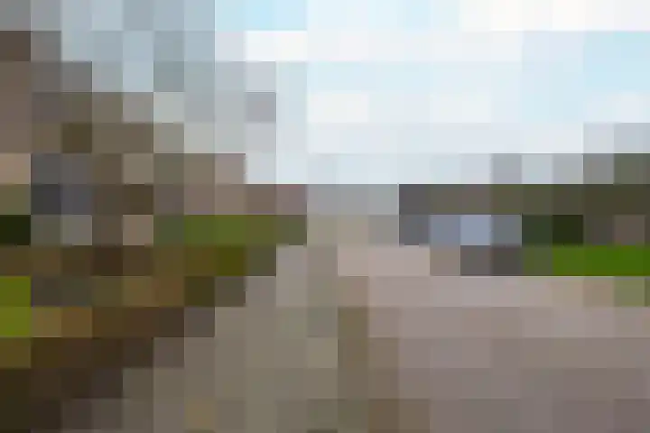 Burgemeester Bouwensweg 21 Horssen thumbnail 70