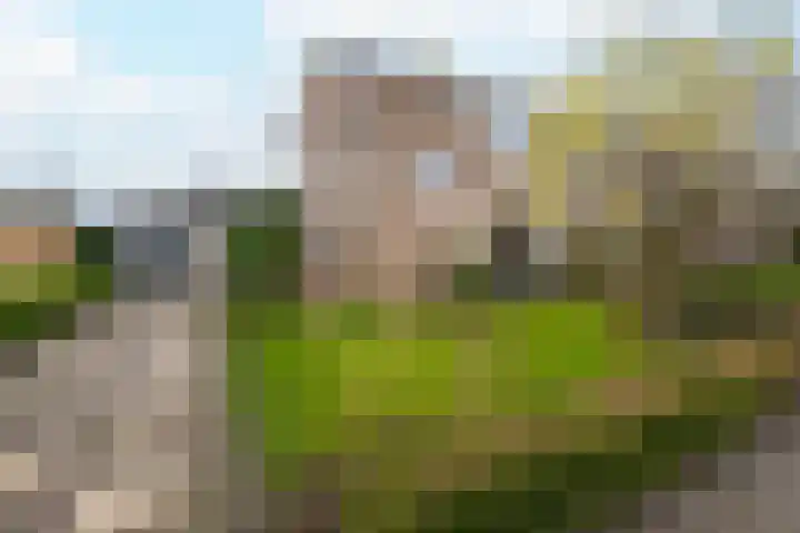 Burgemeester Bouwensweg 21 Horssen thumbnail 74