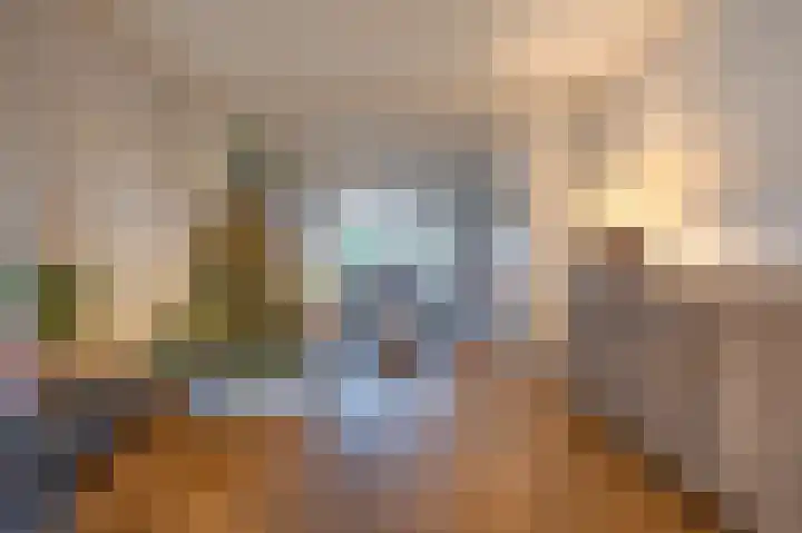 Burgemeester Bouwensweg 21 Horssen thumbnail 8