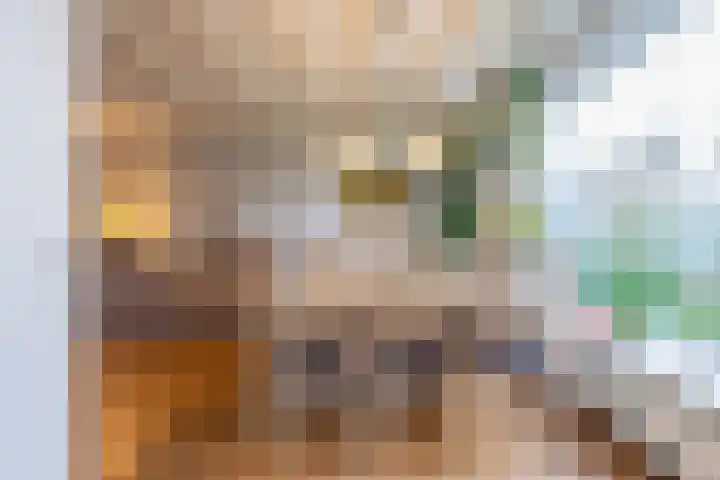 Burgemeester Bouwensweg 21 Horssen thumbnail 9