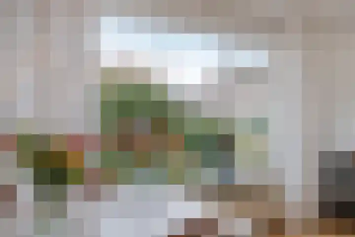 Burgemeester Bouwensweg 6 Horssen thumbnail 12