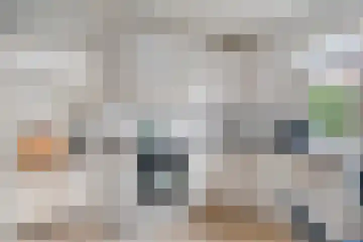 Burgemeester Bouwensweg 6 Horssen thumbnail 15