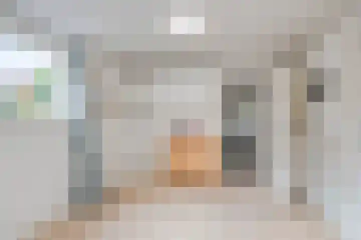 Burgemeester Bouwensweg 6 Horssen thumbnail 17