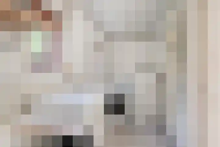 Burgemeester Bouwensweg 6 Horssen thumbnail 18