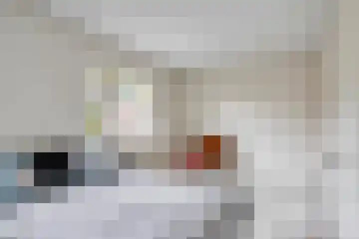 Burgemeester Bouwensweg 6 Horssen thumbnail 20