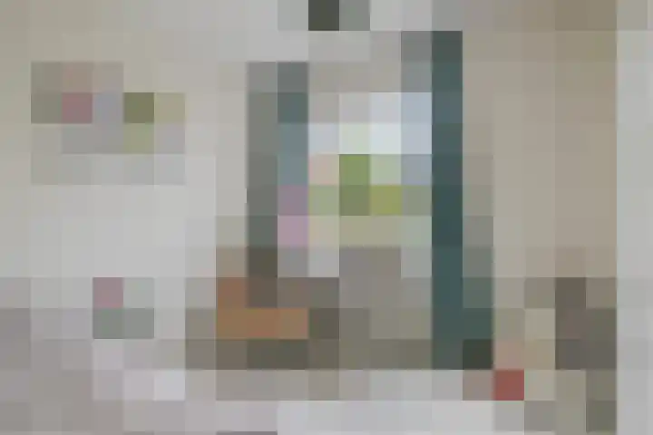 Burgemeester Bouwensweg 6 Horssen thumbnail 22
