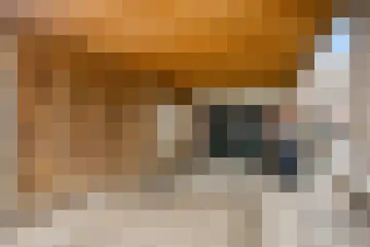 Burgemeester Bouwensweg 6 Horssen thumbnail 26