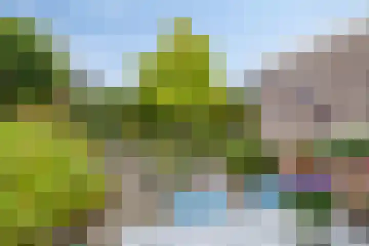 Burgemeester Bouwensweg 6 Horssen thumbnail 28