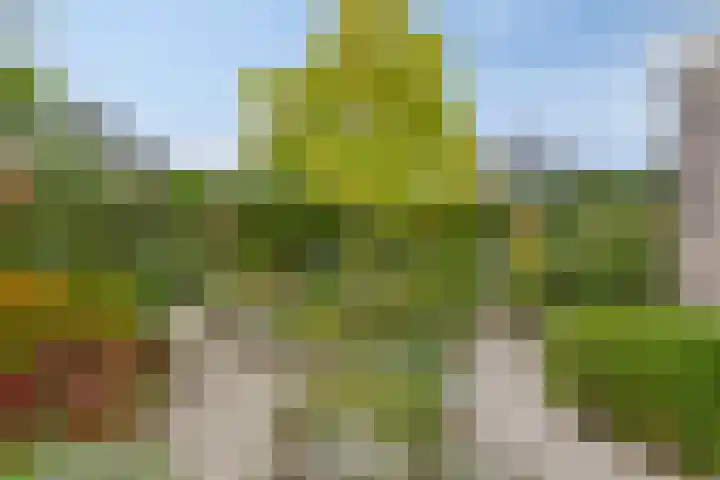 Burgemeester Bouwensweg 6 Horssen thumbnail 29