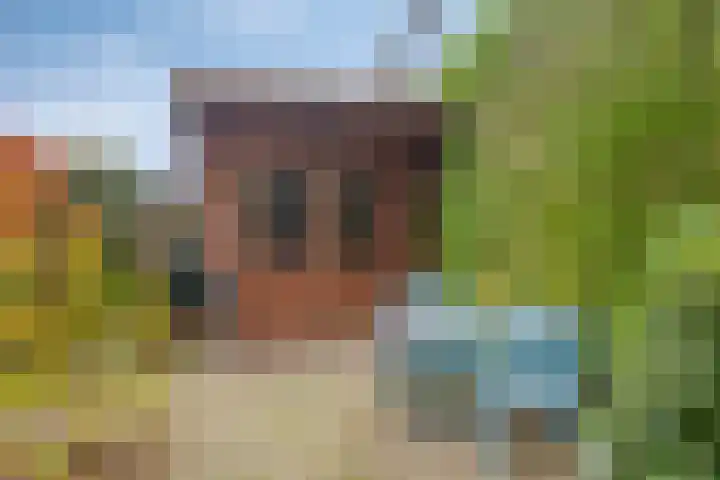 Burgemeester Bouwensweg 6 Horssen thumbnail 31
