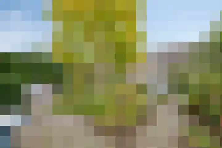 Burgemeester Bouwensweg 6 Horssen thumbnail 32