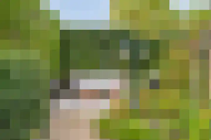 Burgemeester Bouwensweg 6 Horssen thumbnail 4