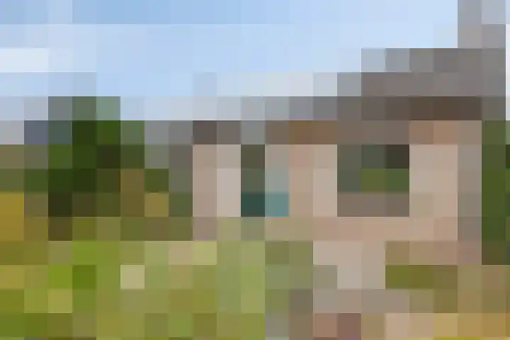 Burgemeester Bouwensweg 6 Horssen thumbnail 5