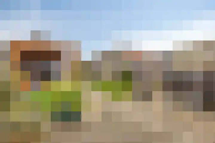 Burgemeester Bouwmanstraat 16 Grijpskerke thumbnail 15