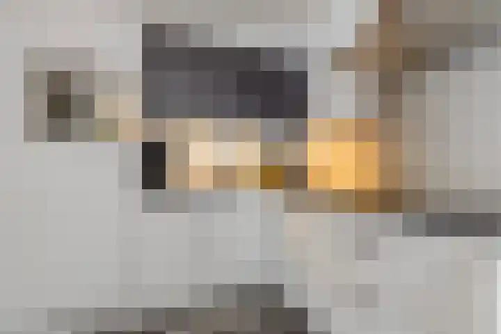 Burgemeester Bouwmanstraat 16 Grijpskerke thumbnail 5
