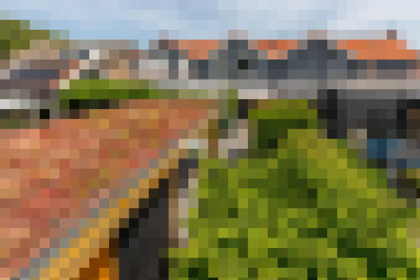 Burgemeester Bouwmanstraat 8 Grijpskerke thumbnail 30