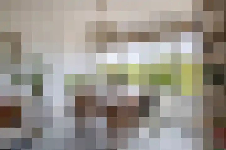 Burgemeester Bracklaan 17 Reeuwijk thumbnail 16
