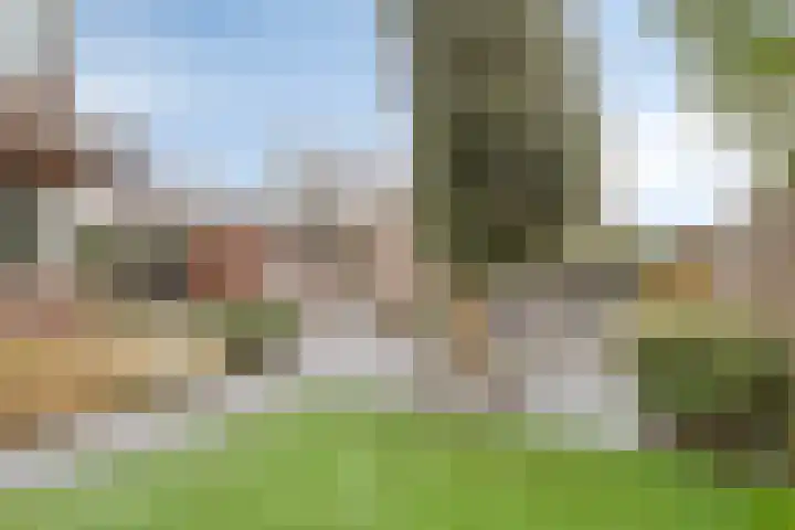 Burgemeester Bracklaan 23 Reeuwijk thumbnail 34