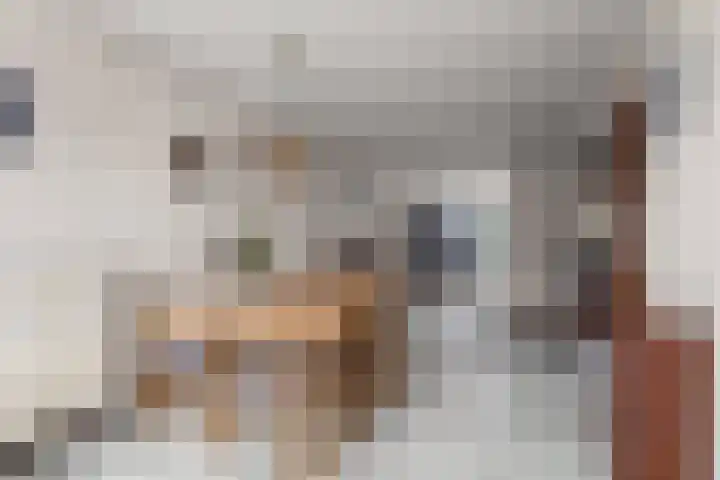 Burgemeester Brandtlaan 14 Velp thumbnail 10