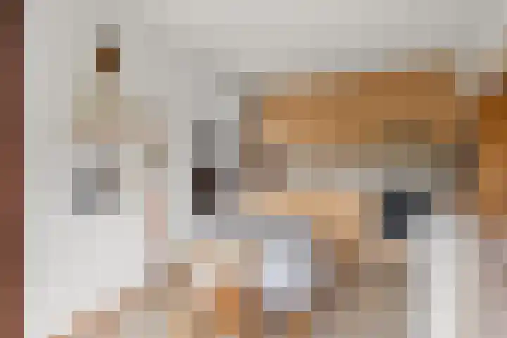 Burgemeester Brandtlaan 14 Velp thumbnail 14