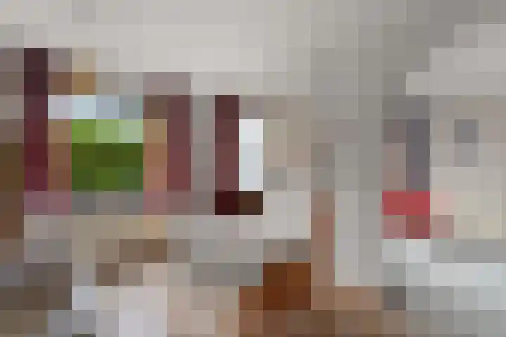 Burgemeester Brandtlaan 14 Velp thumbnail 15
