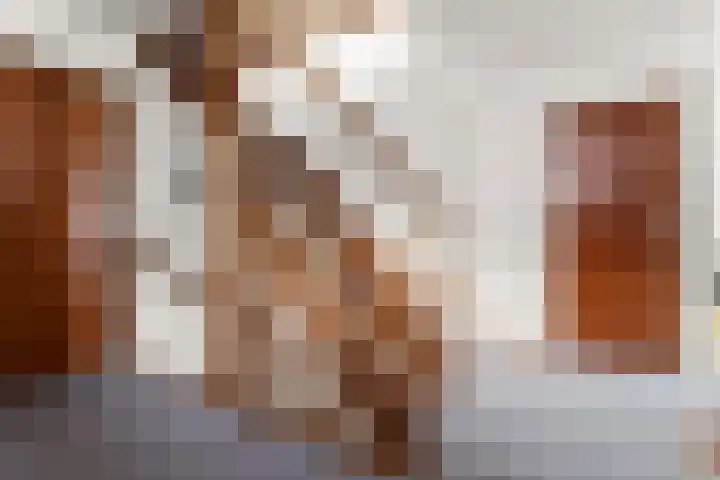 Burgemeester Brandtlaan 14 Velp thumbnail 24