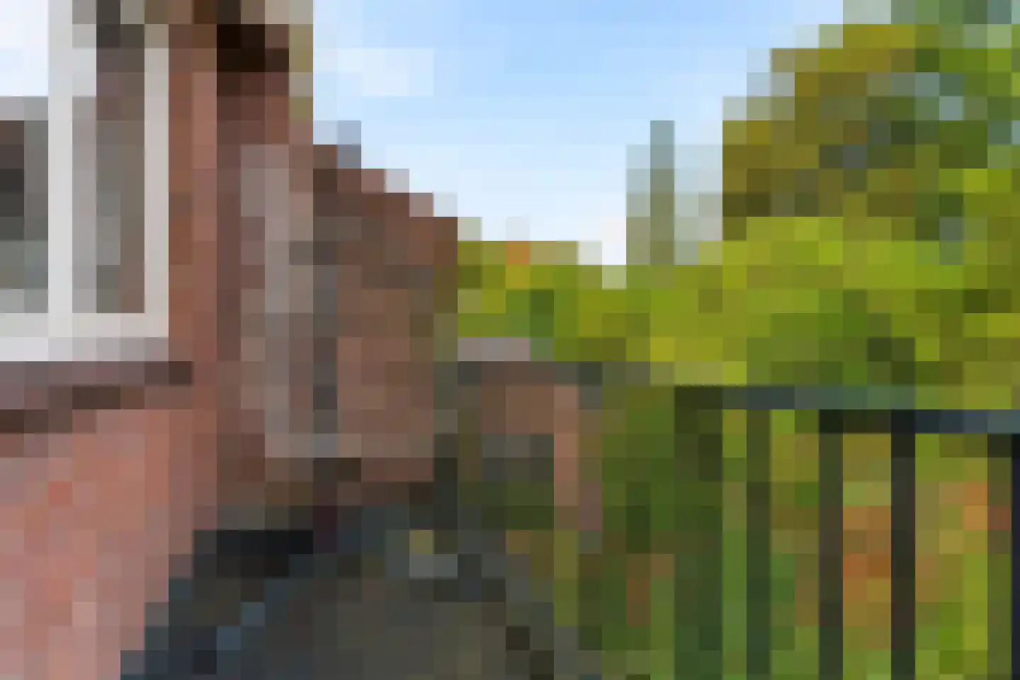 Burgemeester Brandtlaan 18 Velp thumbnail 32