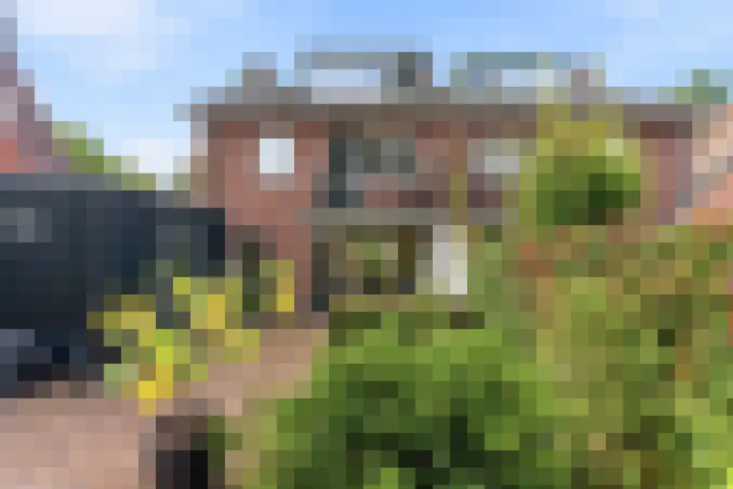 Burgemeester Brandtlaan 18 Velp thumbnail 46