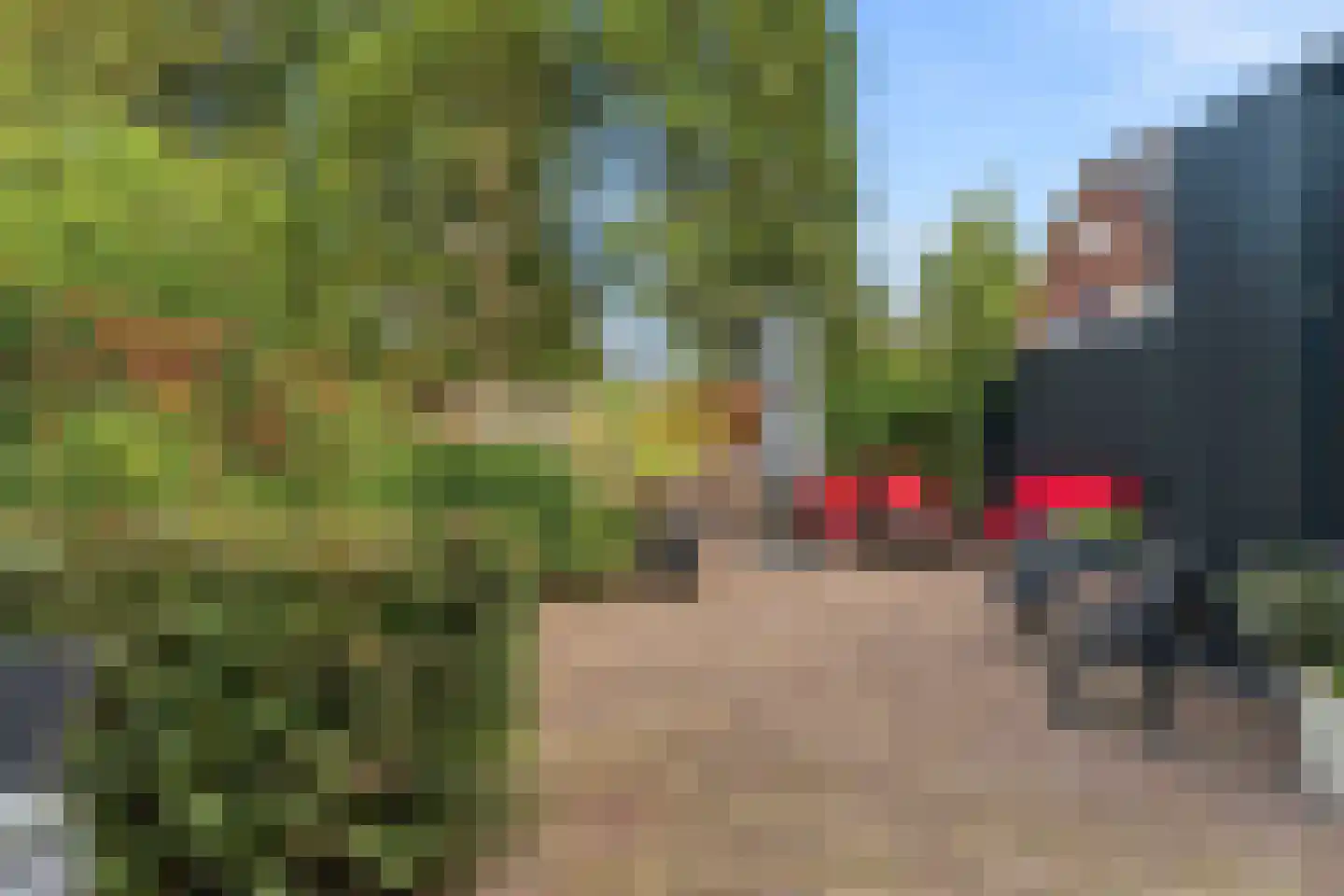Burgemeester Brandtlaan 18 Velp thumbnail 47