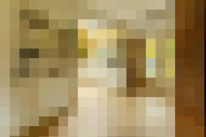 Burgemeester Brandtlaan 2 Velp thumbnail 11