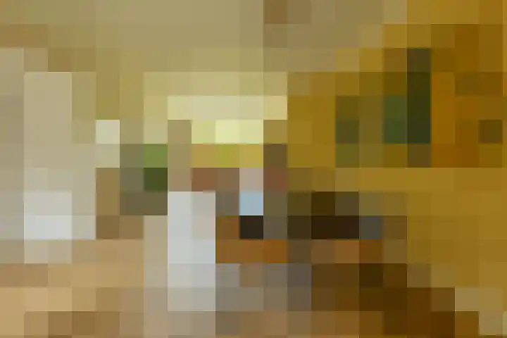 Burgemeester Brandtlaan 2 Velp thumbnail 14