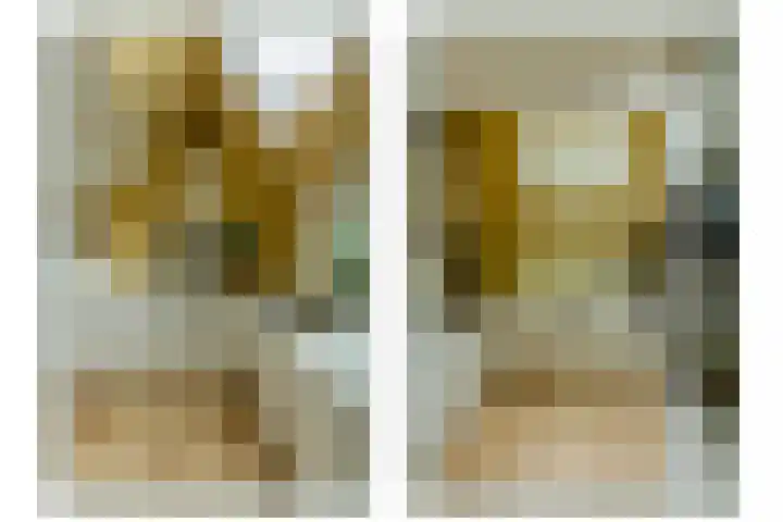 Burgemeester Brandtlaan 2 Velp thumbnail 18