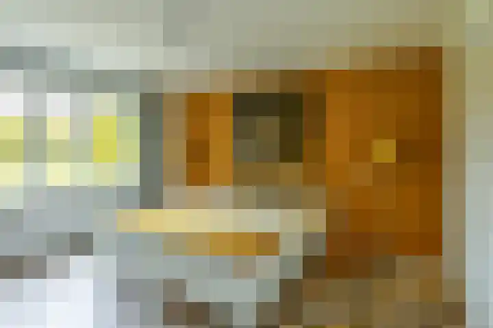 Burgemeester Brandtlaan 2 Velp thumbnail 22