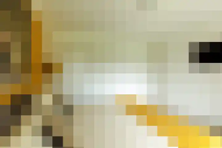 Burgemeester Brandtlaan 2 Velp thumbnail 23