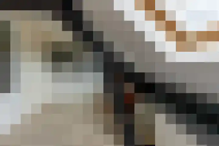 Burgemeester Brandtlaan 2 Velp thumbnail 31