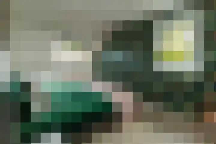 Burgemeester Brandtlaan 2 Velp thumbnail 32