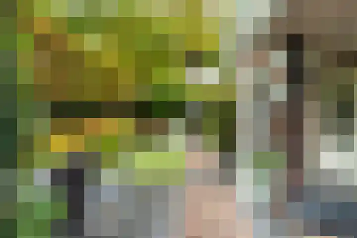 Burgemeester Brandtlaan 2 Velp thumbnail 39