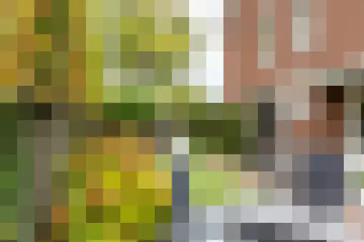 Burgemeester Brandtlaan 2 Velp thumbnail 40