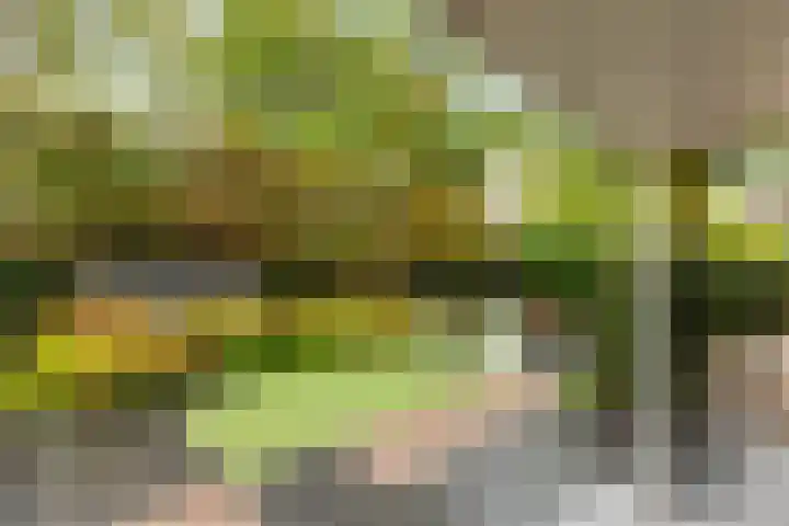 Burgemeester Brandtlaan 2 Velp thumbnail 43